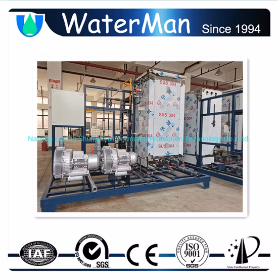 Clo2 Gas Production Equipment for Flue Gas Treatment 18kg/H